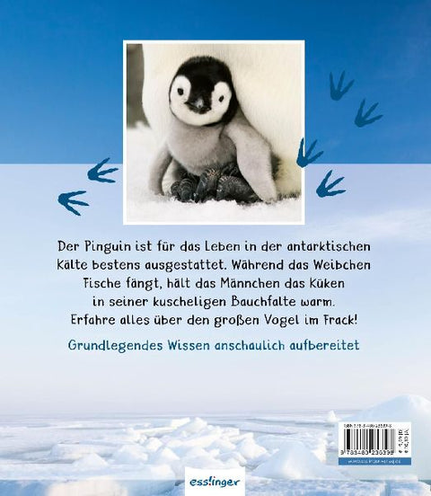 9783480236398 - Back cover