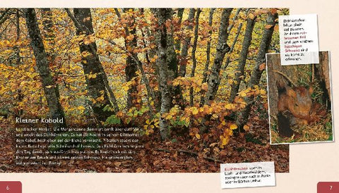 9783480236558 - Sample content