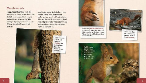 9783480236558 - Sample content