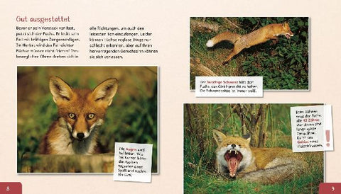 9783480236565 - Sample content