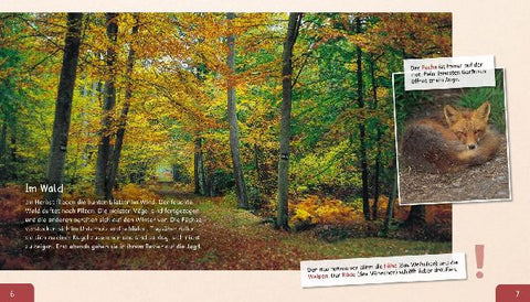 9783480236565 - Sample content