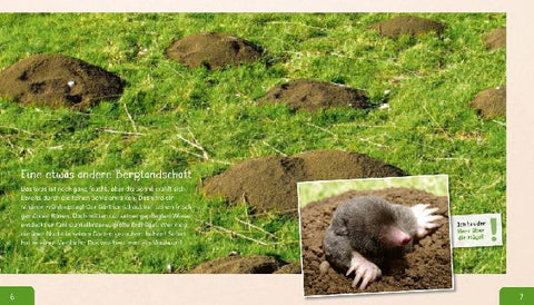 9783480236572 - Sample content