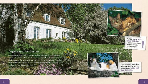 9783480236596 - Sample content