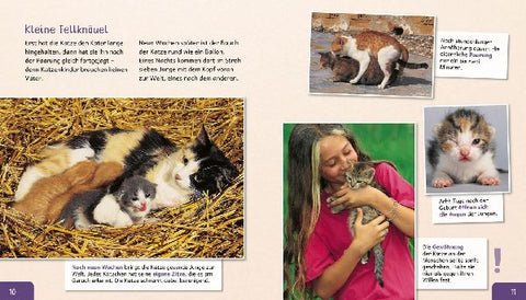 9783480236596 - Sample content