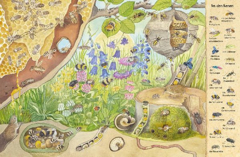 9783480236855 - Sample content