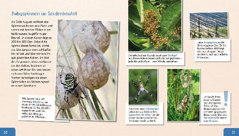 9783480237128 - Sample content