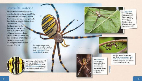 9783480237128 - Sample content