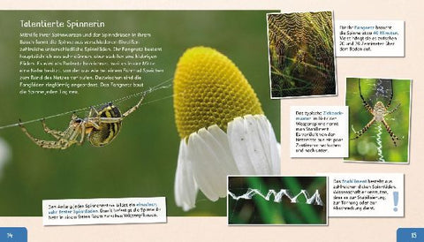 9783480237128 - Sample content