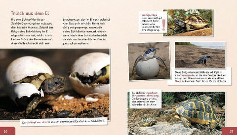 9783480237166 - Sample content