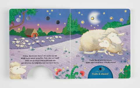 9783480237418 - Sample content