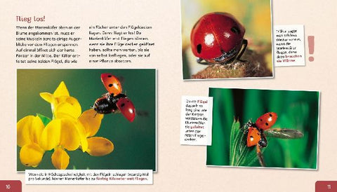 9783480237470 - Sample content