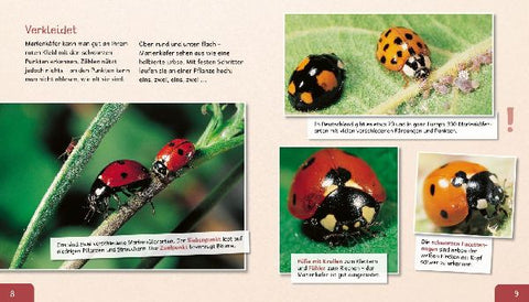 9783480237470 - Sample content