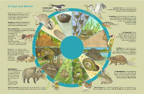 9783480237630 - Sample content