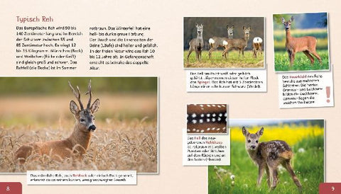 9783480237753 - Sample content