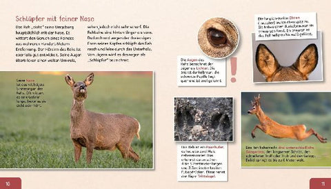 9783480237753 - Sample content