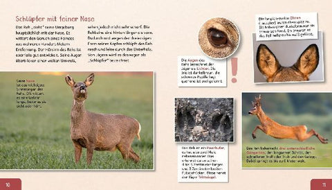 9783480237753 - Sample content