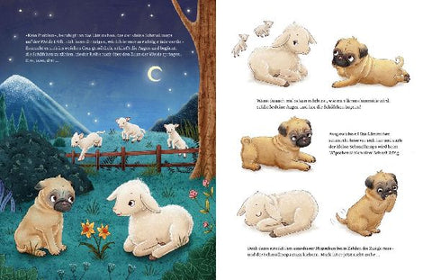 9783480238125 - Sample content