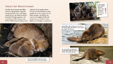 9783480239429 - Sample content