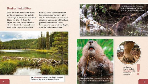 9783480239429 - Sample content