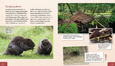 9783480239429 - Sample content