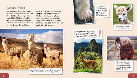 9783480239931 - Sample content