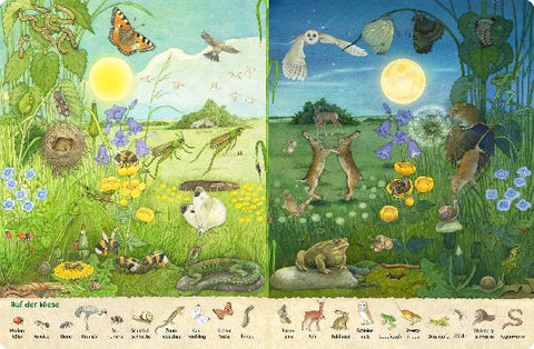 9783480240807 - Sample content