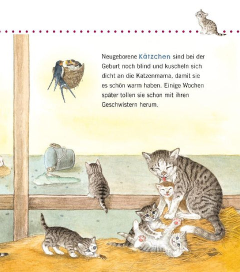 9783551036056 - Sample content