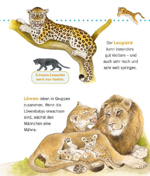 9783551036100 - Sample content