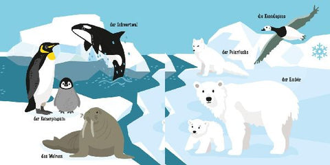 9783551062291 - Sample content