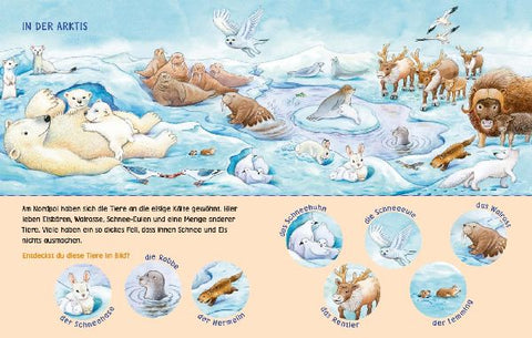 9783551062673 - Sample content