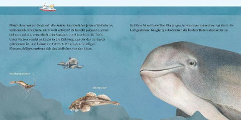 9783551083159 - Sample content