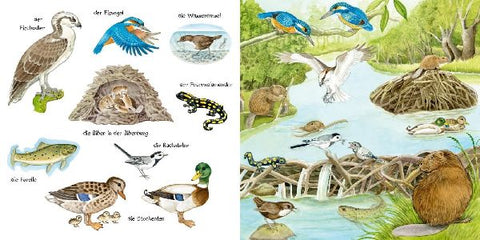 9783551173263 - Sample content