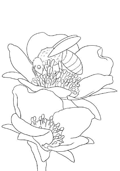 9783551191731 - Sample content