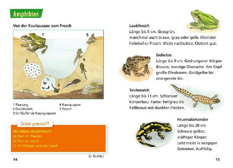 9783551231789 - Sample content