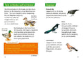 9783551231789 - Sample content
