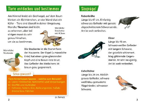 9783551231789 - Sample content