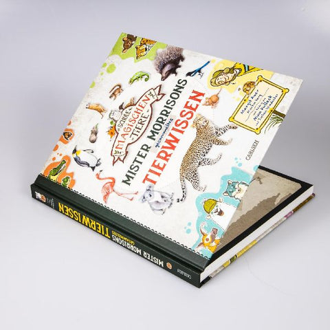 9783551250766 - Sample content