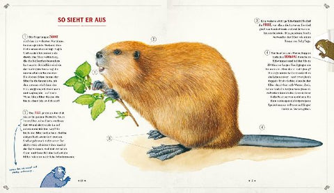 9783551250766 - Sample content