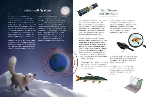 9783551251602 - Sample content