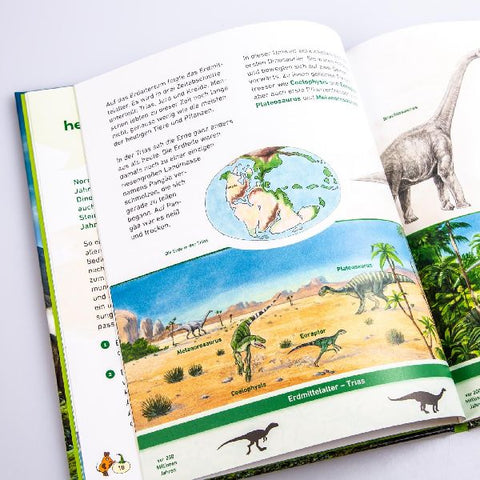 9783551253422 - Sample content