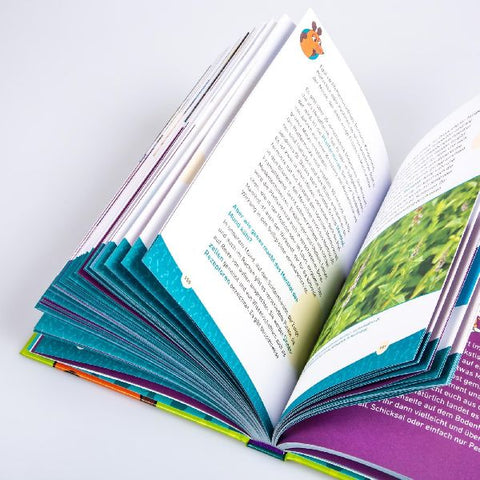 9783551253439 - Sample content