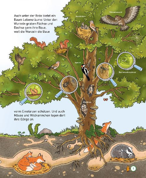 9783551253668 - Sample content