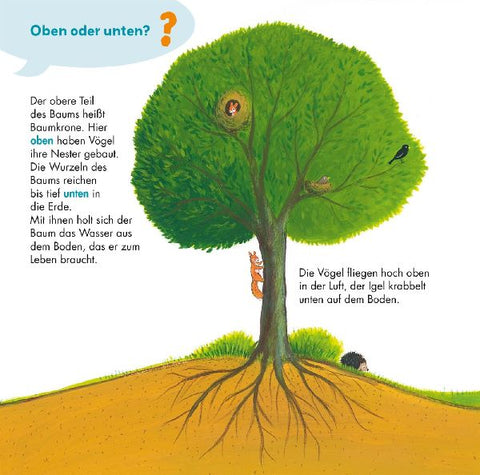 9783551253736 - Sample content