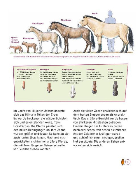 9783551253743 - Sample content