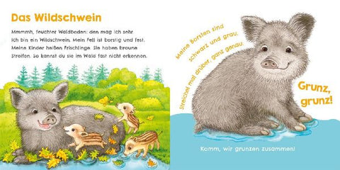 9783551254023 - Sample content