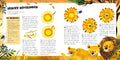 9783551254986 - Sample content