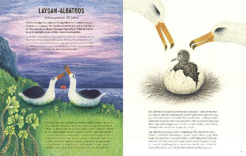 9783551255051 - Sample content