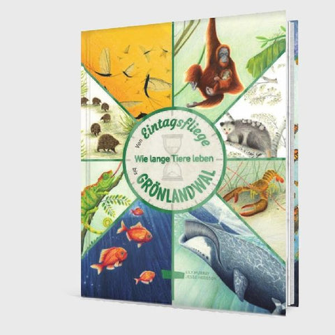 9783551255051 - Sample content