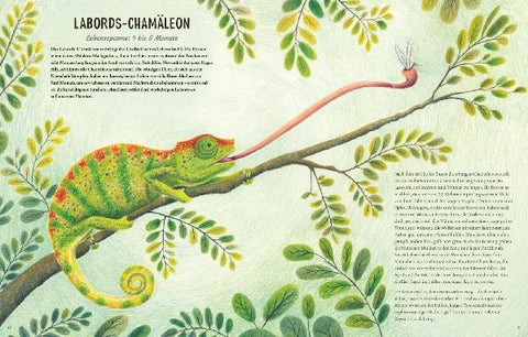 9783551255051 - Sample content