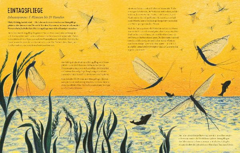 9783551255051 - Sample content